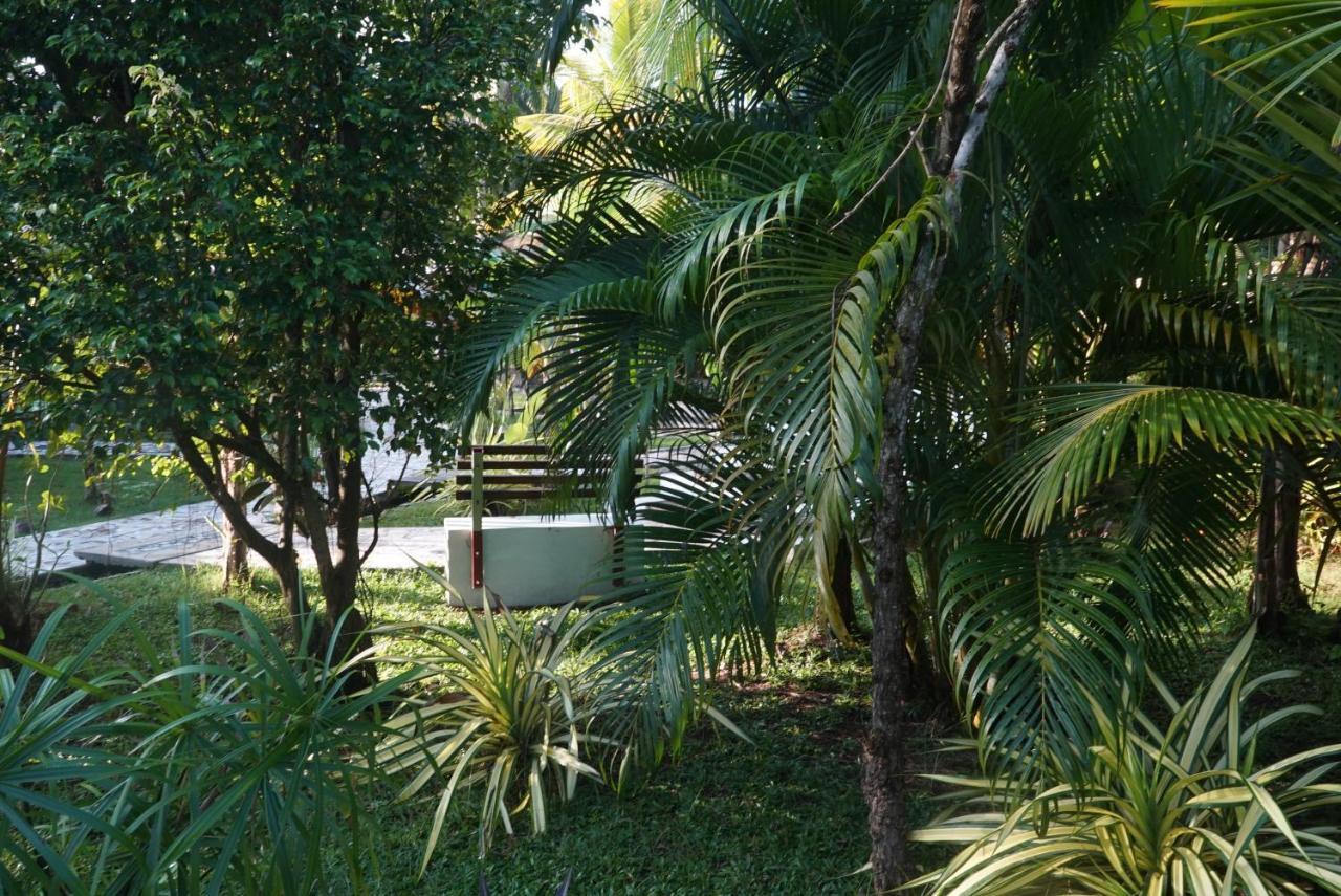 Red Coconut Villa Bentota Exteriör bild