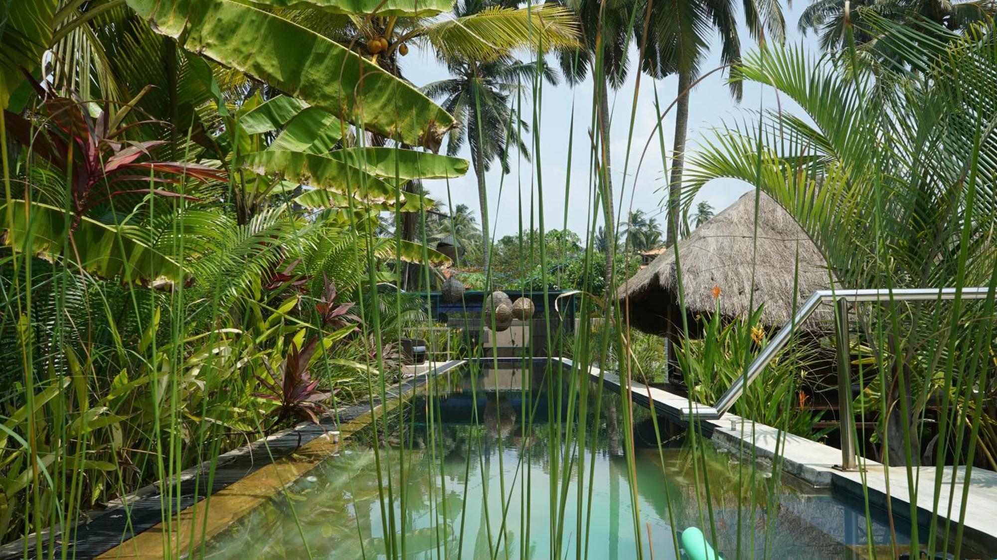 Red Coconut Villa Bentota Exteriör bild