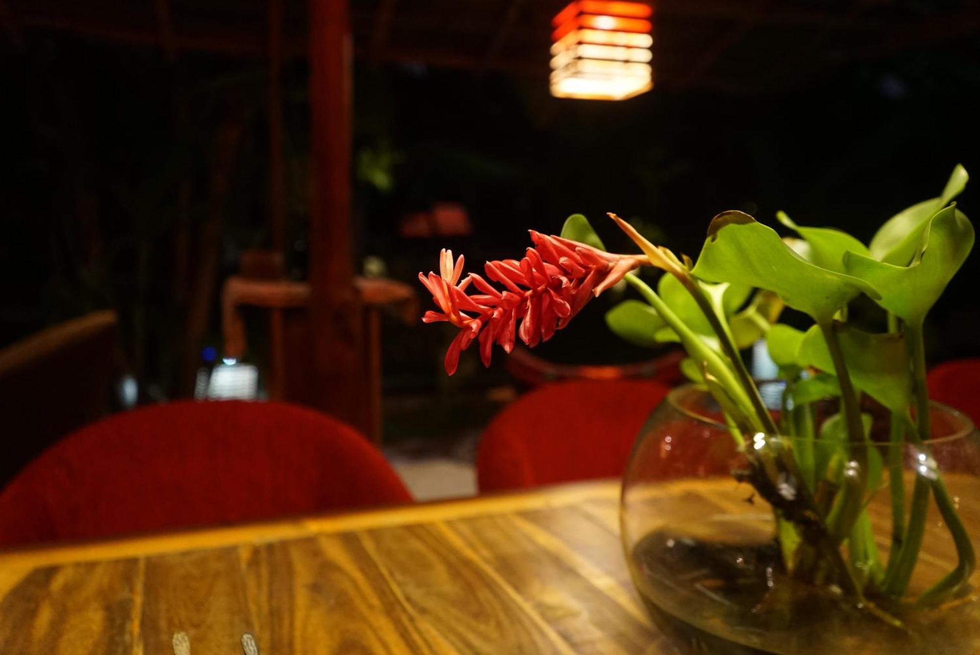Red Coconut Villa Bentota Exteriör bild